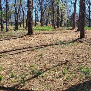 Photo #1 of 1 ACRE HILLCREST DR, STAUNTON, VA 1.0 acres