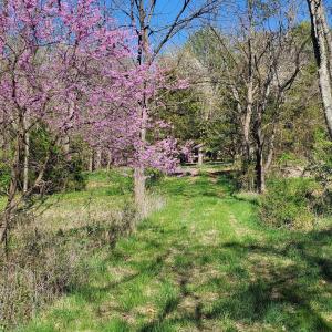 Photo #8 of Lot 2B 4.8 acre HILLCREST DR, STAUNTON, VA 4.8 acres
