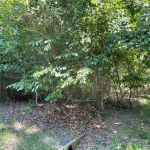 Photo #2 of 62 SIGNAL CT, GREENBACKVILLE, VA 0.3 acres