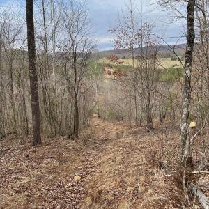 Photo #2 of 70-131 ESTALINE VALLEY RD, CRAIGSVILLE, VA 36.9 acres