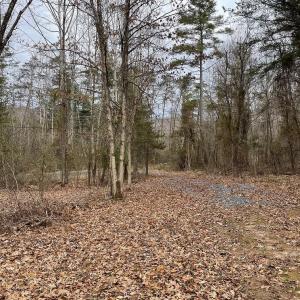 Photo #3 of 70-131 ESTALINE VALLEY RD, CRAIGSVILLE, VA 36.9 acres