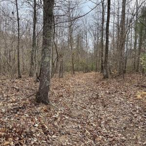 Photo #5 of 70-131 ESTALINE VALLEY RD, CRAIGSVILLE, VA 36.9 acres