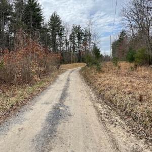 Photo #6 of 70-131 ESTALINE VALLEY RD, CRAIGSVILLE, VA 36.9 acres