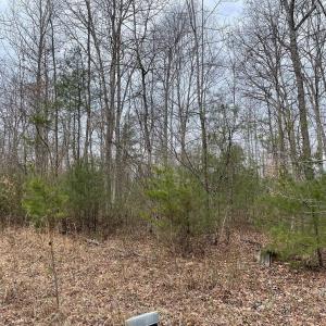 Photo #7 of 70-131 ESTALINE VALLEY RD, CRAIGSVILLE, VA 36.9 acres