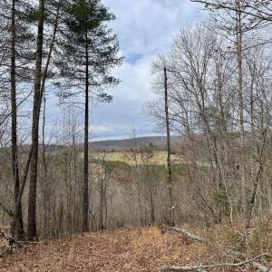 Photo #1 of 70-131 ESTALINE VALLEY RD, CRAIGSVILLE, VA 36.9 acres