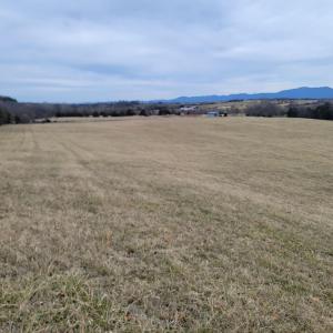 Photo #1 of DAM TOWN RD, FORT DEFIANCE, VA 22.0 acres