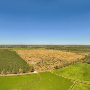 Photo #2 of 41 SAXIS RD, TEMPERANCEVILLE, VA 193.0 acres