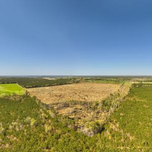 Photo #5 of 41 SAXIS RD, TEMPERANCEVILLE, VA 193.0 acres