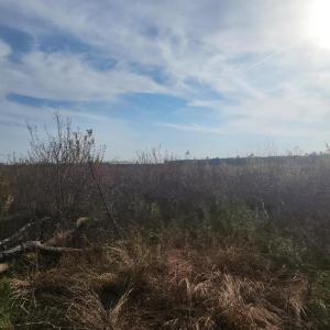 Photo #10 of 41 SAXIS RD, TEMPERANCEVILLE, VA 193.0 acres