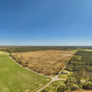 Photo #3 of 41 SAXIS RD, TEMPERANCEVILLE, VA 193.0 acres