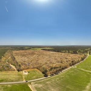 Photo #4 of 41 SAXIS RD, TEMPERANCEVILLE, VA 193.0 acres