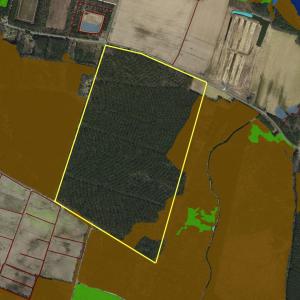 Photo #6 of 41 SAXIS RD, TEMPERANCEVILLE, VA 193.0 acres