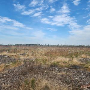 Photo #9 of 41 SAXIS RD, TEMPERANCEVILLE, VA 193.0 acres