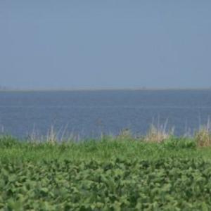 Photo #10 of BELLEVUE CIR, ACCOMAC, VA 15.6 acres