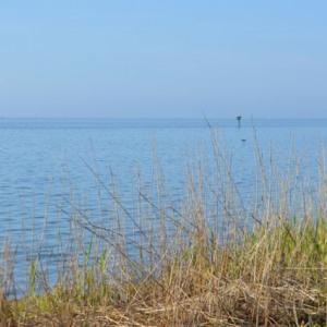 Photo #8 of BELLEVUE CIR, ACCOMAC, VA 15.6 acres