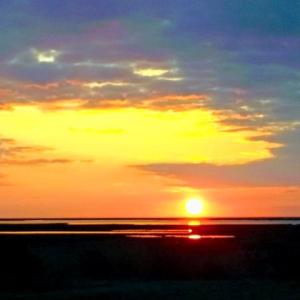 Photo #11 of BELLEVUE CIR, ACCOMAC, VA 15.6 acres