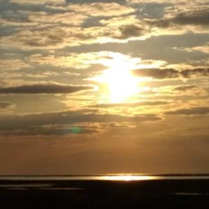 Photo #12 of BELLEVUE CIR, ACCOMAC, VA 15.6 acres