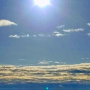 Photo #16 of BELLEVUE CIR, ACCOMAC, VA 15.6 acres