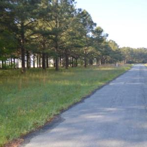 Photo #3 of BELLEVUE CIR, ACCOMAC, VA 15.6 acres