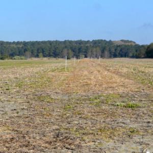 Photo #5 of BELLEVUE CIR, ACCOMAC, VA 15.6 acres