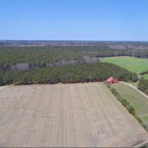 Photo #6 of BELLEVUE CIR, ACCOMAC, VA 15.6 acres