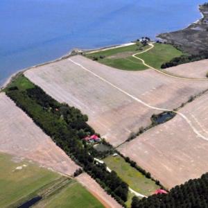 Photo #7 of BELLEVUE CIR, ACCOMAC, VA 15.6 acres