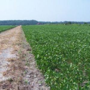 Photo #9 of BELLEVUE CIR, ACCOMAC, VA 15.6 acres