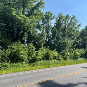 Photo #2 of Lot 57 STONE RD, CAPE CHARLES, VA 40.0 acres