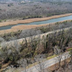 Photo #5 of Lot 58 STONE RD, CAPE CHARLES, VA 40.0 acres