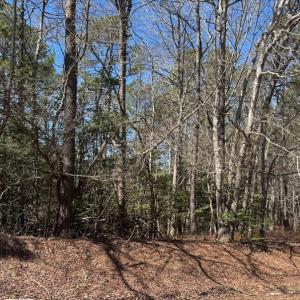 Photo #2 of Lot 1897 BUCCANEER BLVD, GREENBACKVILLE, VA 14.0 acres