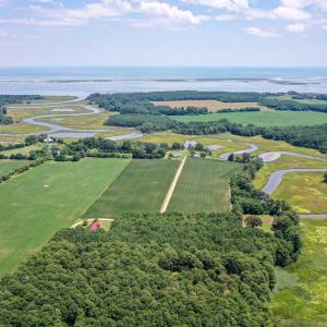 Photo #10 of 20F 1&2 FINNEY FARM DR, PARKSLEY, VA 10.1 acres