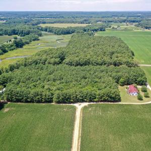 Photo #12 of 20F 1&2 FINNEY FARM DR, PARKSLEY, VA 10.1 acres