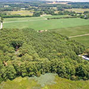 Photo #14 of 20F 1&2 FINNEY FARM DR, PARKSLEY, VA 10.1 acres