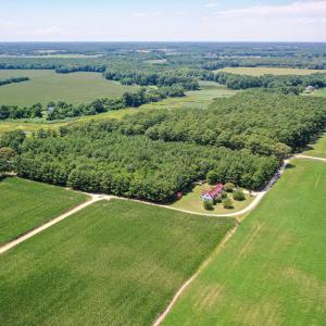 Photo #7 of 20F 1&2 FINNEY FARM DR, PARKSLEY, VA 10.1 acres