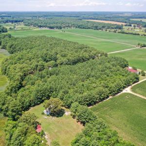 Photo #9 of 20F 1&2 FINNEY FARM DR, PARKSLEY, VA 10.1 acres