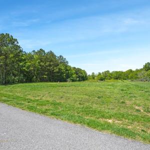 Photo #4 of Lot 17 WATTS BAY LANE, WALLOPS ISLAND, VA 138.0 acres