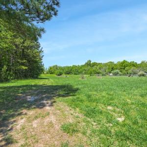 Photo #7 of Lot 17 WATTS BAY LANE, WALLOPS ISLAND, VA 138.0 acres