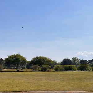 Photo #2 of Lot 151 KINGS CT, CAPE CHARLES, VA 0.2 acres