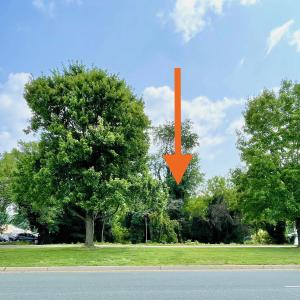 Photo #7 of 611 & 604 BOOKER ST, CHARLOTTESVILLE, VA 0.3 acres