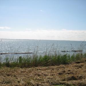Photo #2 of 748 SEAVIEW ST, GREENBACKVILLE, VA 50.0 acres