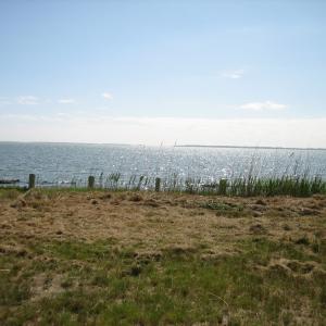 Photo #3 of 748 SEAVIEW ST, GREENBACKVILLE, VA 50.0 acres