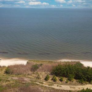 Photo #6 of 748 SEAVIEW ST, GREENBACKVILLE, VA 50.0 acres