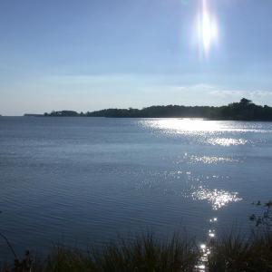 Photo #5 of Lot 2A WAVERLY LANE, MACHIPONGO, VA 1.8 acres