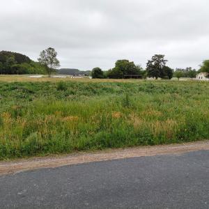 Photo #2 of Lot 3 INDIAN TRAIL RD, PAINTER, VA 2.4 acres