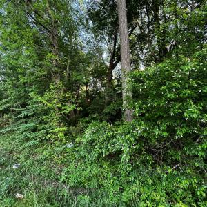 Photo #3 of LOT#42 KELLER POND RD, PAINTER, VA 9.9 acres