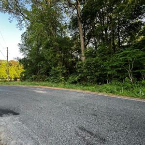 Photo #4 of LOT#42 KELLER POND RD, PAINTER, VA 9.9 acres