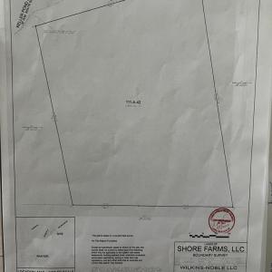 Photo #6 of LOT#42 KELLER POND RD, PAINTER, VA 9.9 acres