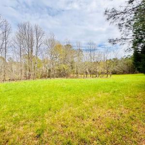 Photo #10 of Lot 24 PEACEFUL LAKES DR, FRANKTOWN, VA 1.6 acres