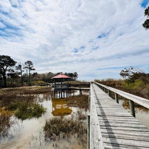 Photo #15 of Lot 24 PEACEFUL LAKES DR, FRANKTOWN, VA 1.6 acres