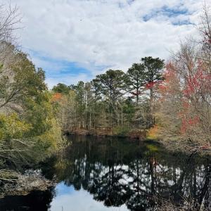 Photo #2 of Lot 24 PEACEFUL LAKES DR, FRANKTOWN, VA 1.6 acres